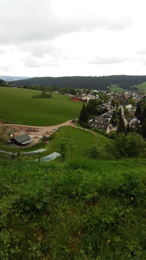Schwarzwald Geht Immer Fewo 60 Qm Mit Grossem Suedbalkon, Wlan Und Magenta Tv Schoenwald im Schwarzwald Exterior photo