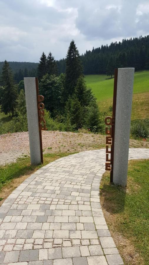 Schwarzwald Geht Immer Fewo 60 Qm Mit Grossem Suedbalkon, Wlan Und Magenta Tv Schoenwald im Schwarzwald Exterior photo