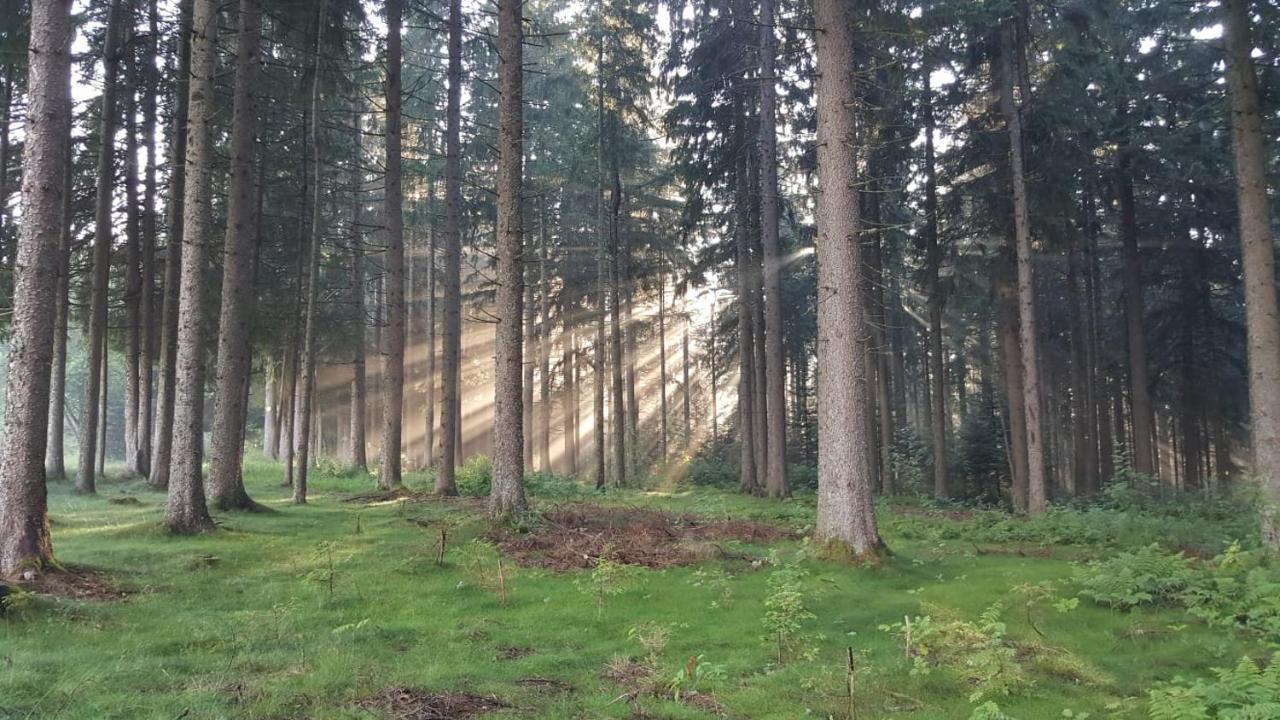 Schwarzwald Geht Immer Fewo 60 Qm Mit Grossem Suedbalkon, Wlan Und Magenta Tv Schoenwald im Schwarzwald Exterior photo